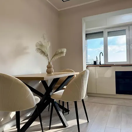 Joy Torontalului 25 * Timişoara