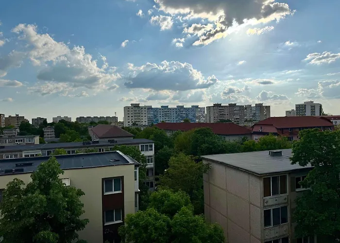 Joy Torontalului 25 *