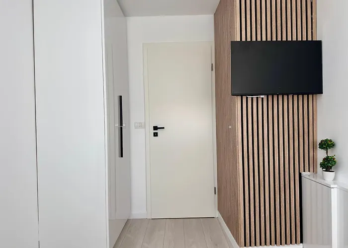 Joy Torontalului 25 Apartment Timisoara