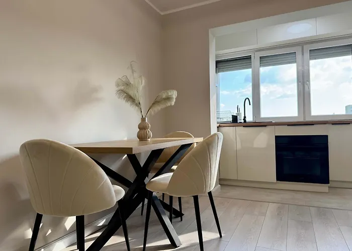 Joy Torontalului 25 * Timisoara