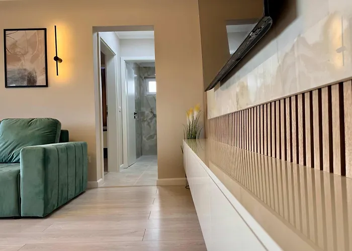 Joy Torontalului 25 * Timişoara