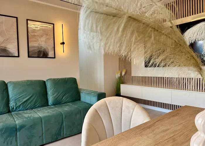 Joy Torontalului 25 *